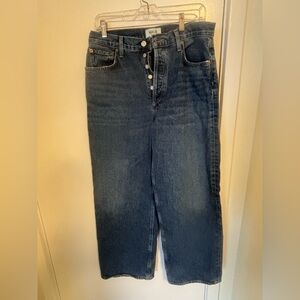 Agolde Low Slung Baggy Jeans